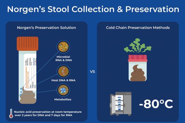 Norgen的粪便收集和保存