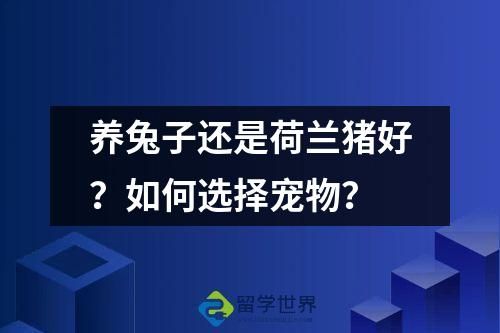 養(yǎng)兔子還是荷蘭豬好？如何選擇寵物？