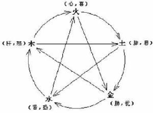 五臟之間關(guān)系