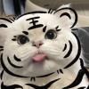 关于青春
