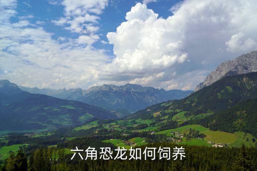 六角恐龙如何饲养