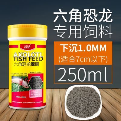 怎么喂六角恐龙鱼吃饲料呢