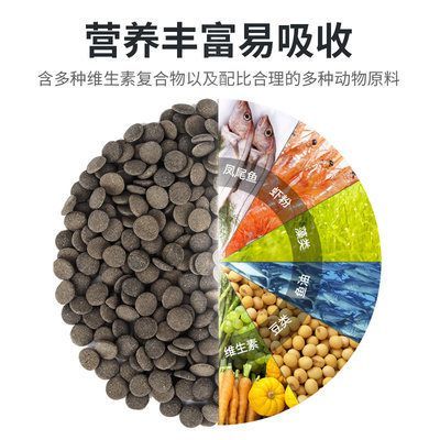 怎么喂六角恐龙鱼吃饲料呢