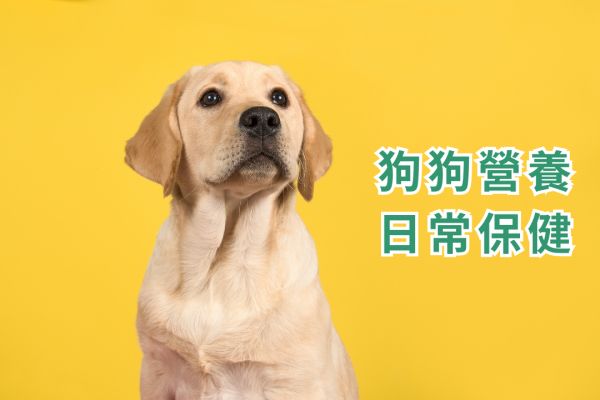 《寵物保健食品聖經(jīng)》推薦必看！貓咪狗狗保健品到底該如何挑選？