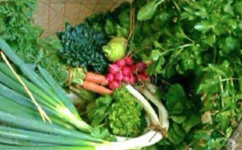 小學(xué)生心理健康輔導(dǎo)教案（精選30篇）