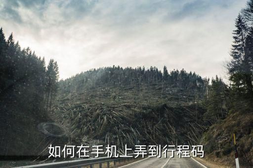 如何在手機上弄到行程碼