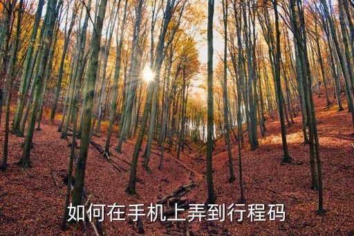 如何在手機上弄到行程碼