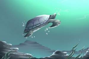 玛法达星座(玛法达星座运势网)