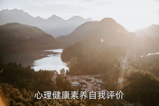 心理健康素养自我评价