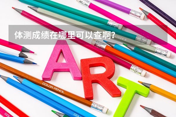 體測成績在哪里可以查啊？