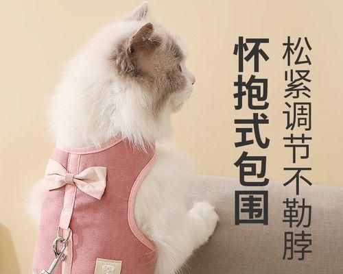 貓咪產(chǎn)后護(hù)理指南（為你的母貓和幼崽提供全面的關(guān)愛）