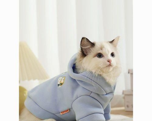 幼貓的正常排便是什么樣的？如何判斷幼貓排便是否健康？