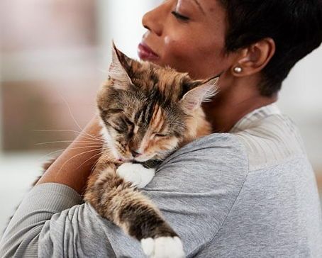 “呵护幼猫，科学喂养，健康成长。”