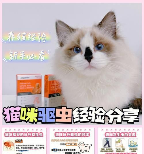 如何给宠物小猫进行针打和驱虫（让你的小猫健康成长，）