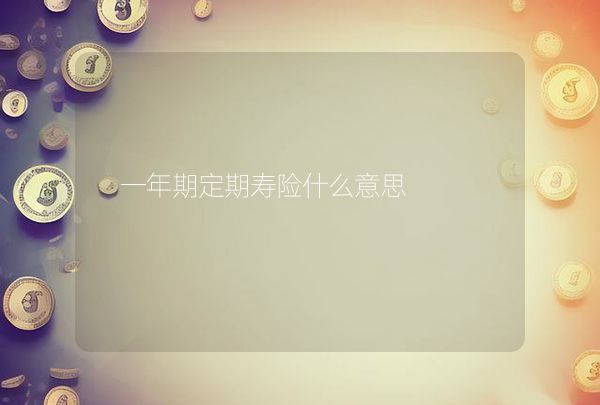 一年期定期寿险什么意思