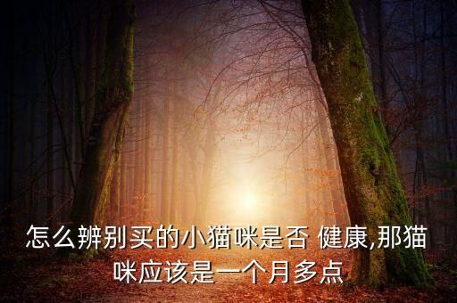 怎么辨別買的小貓咪是否 健康,那貓咪應(yīng)該是一個(gè)月多點(diǎn)