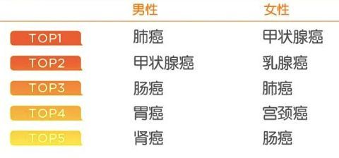 康惠保，康惠保（旗艦版2.0）
