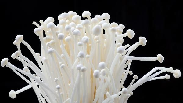 金針菇致癌真相曝光！這樣吃才安全又健康