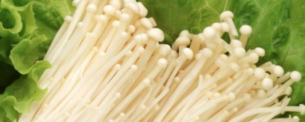 金針菇怎么做好吃 金針菇的做法 金針菇