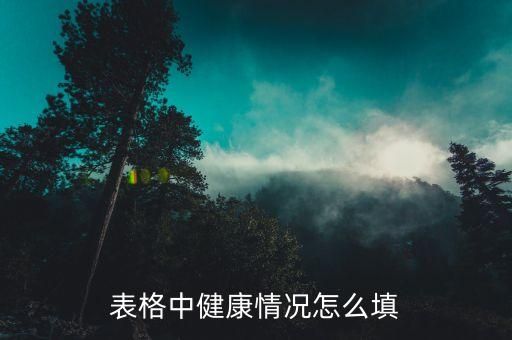 表格中健康情况怎么填