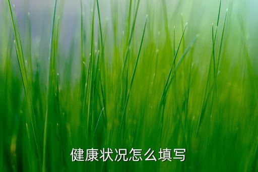 健康状况怎么填写
