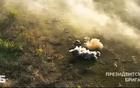 烏軍擊毀托列茨克俄軍指揮部！收復(fù)盧甘斯克定居點(diǎn)