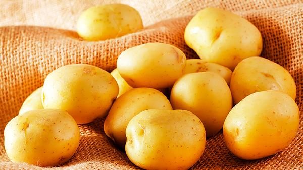 姜絲炒土豆絲之類其他的菜系