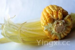 土豆絲的營養(yǎng)價(jià)值，土豆絲的營養(yǎng)價(jià)值和好處