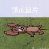 霸占廚房的小宋