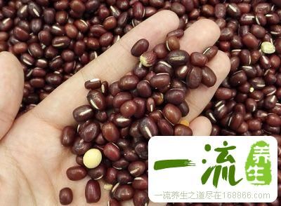 營養(yǎng)食譜大全及做法 吃的營養(yǎng)身體才更棒