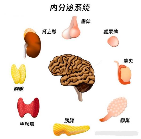 88951740637442121