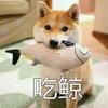 相依咿呀咿