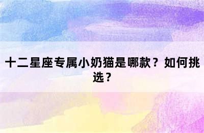 十二星座專屬小奶貓是哪款？如何挑選？