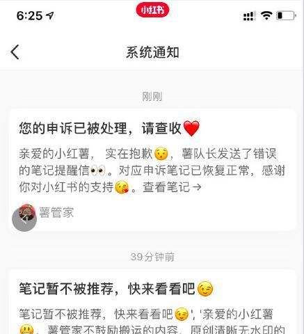 解读小红书蒲公英健康等级（了解健康等级的定义与作用）