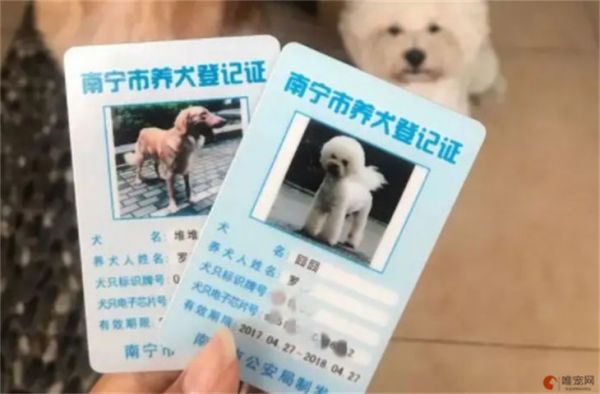 養(yǎng)狗證在哪個部門辦理 寵物店可以代辦嗎