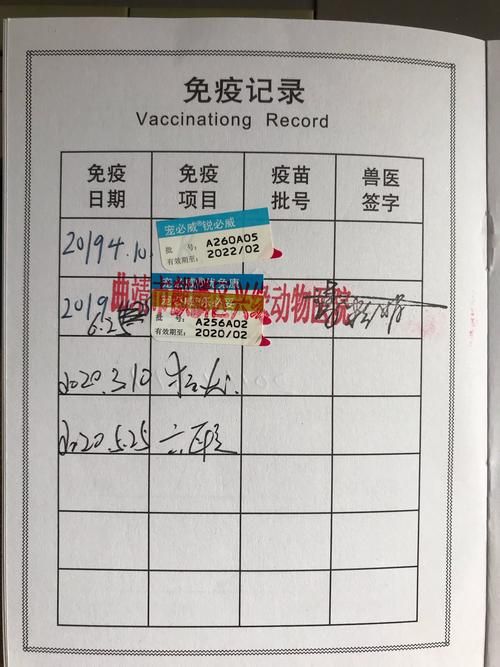 动物疫苗注射证明怎么开（动物疫苗证是什么样的）