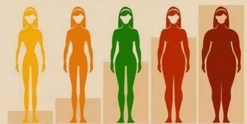 為啥女人先胖腿，男人先胖肚？