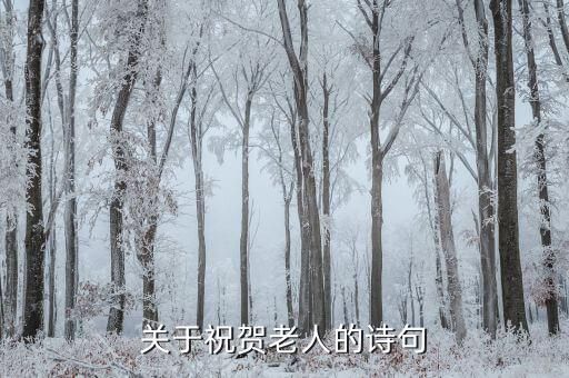 關于祝賀老人的詩句