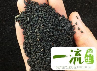 汉堡包的做法 教你自制汉堡包营养更高