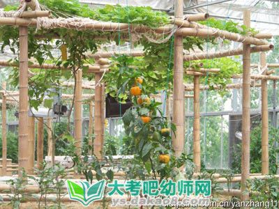 幼儿园小班健康教案《讲卫生不得病》及教学反思配图三