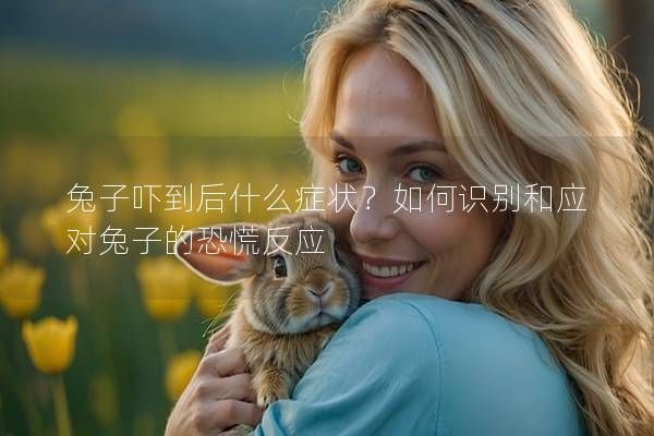 兔子嚇到后什么癥狀？如何識別和應對兔子的恐慌反應