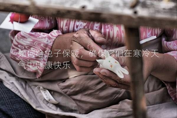 如何給兔子保暖，確保它們在寒冷天氣中健康快樂