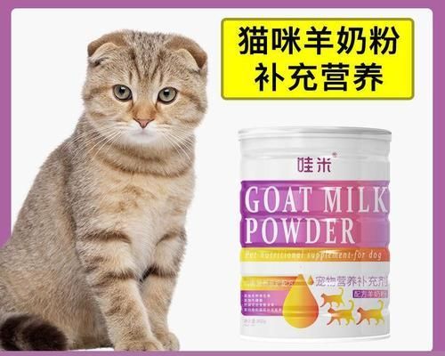 如何判断宠物奶猫的大便是否正常(通过观察颜色)