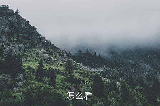 怎么看