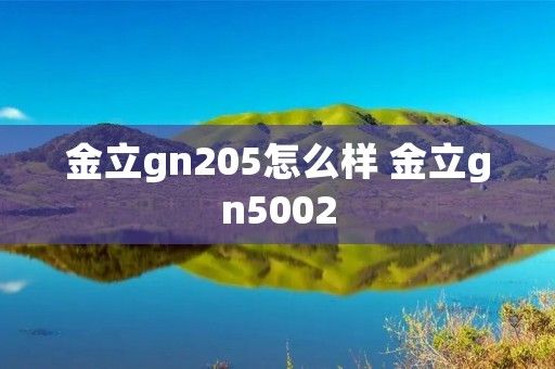 金立gn205怎么样 金立gn5002