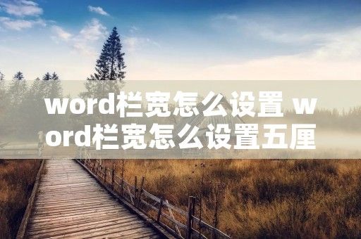 word栏宽怎么设置 word栏宽怎么设置五厘米
