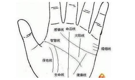 掌紋中沒有健康線是身體不健康的表現(xiàn)嗎?