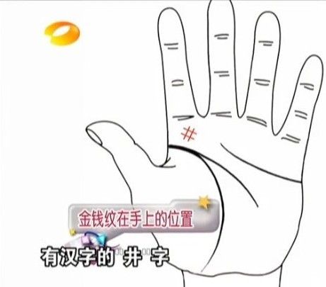 通過掌紋了解身體健康 （王晨霞老師）  自己整理《百科全說》