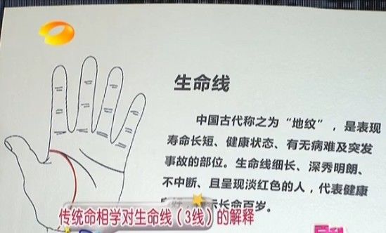 通過掌紋了解身體健康 （王晨霞老師）  自己整理《百科全說》