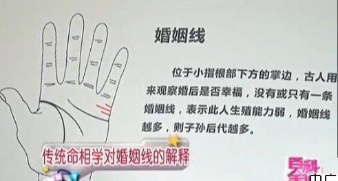 通過掌紋了解身體健康 （王晨霞老師）  自己整理《百科全說》